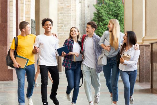 NMIMS Exam Paper Help